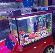 Aquarium car Degsin For Sale