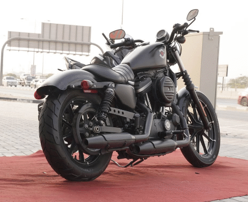 Harley davidson barely iron 883 2020 for sale