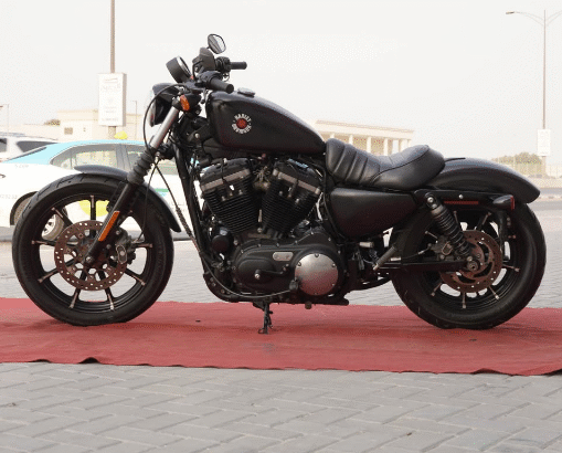 Harley davidson barely iron 883 2020 for sale