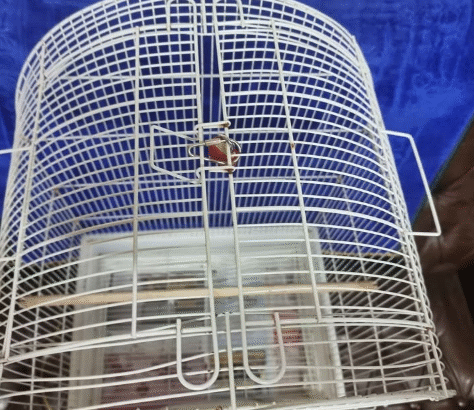 Bird cage in perfect condition for sale