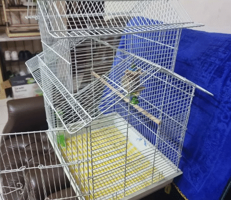 Bird cage like new condition for sale