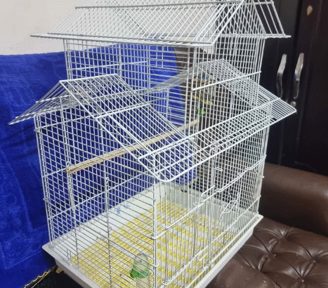Bird cage like new condition for sale