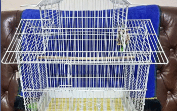 Bird cage like new condition for sale