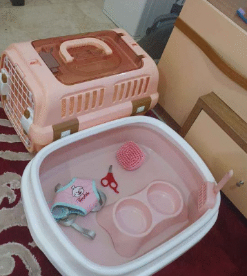 Pet accessories for sale
