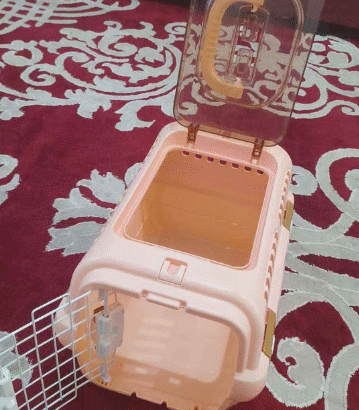 Pet accessories for sale