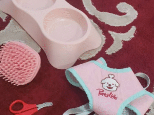 Pet accessories for sale