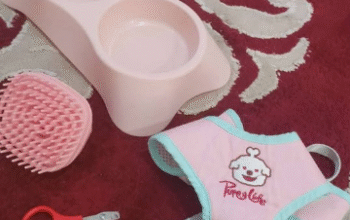 Pet accessories for sale