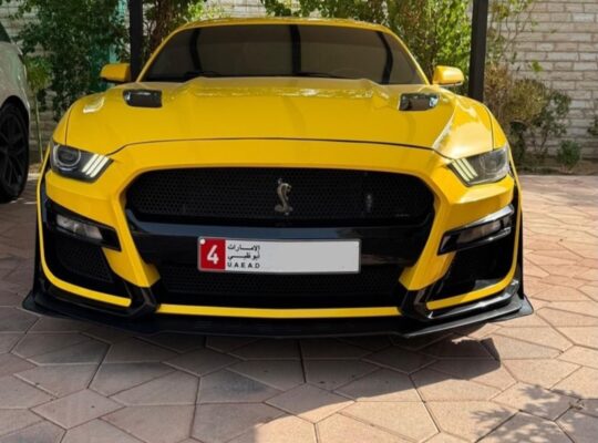 Ford Mustang GT 2016 USA imported for sale