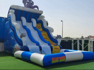 Water Slide in excellent condition for Sale