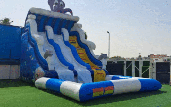 Water Slide in excellent condition for Sale