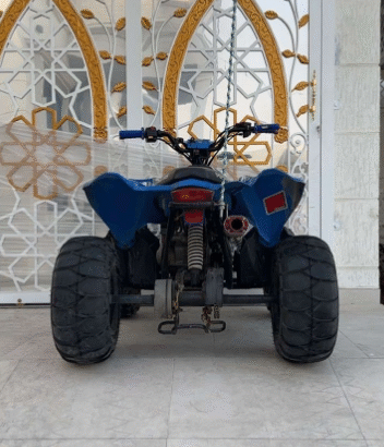 Polaris Outlaw 110 2015 in good condition for sale