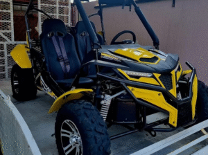 puggy 250 cc 2024 in excellent condition for sale