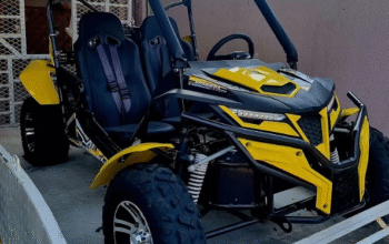 puggy 250 cc 2024 in excellent condition for sale