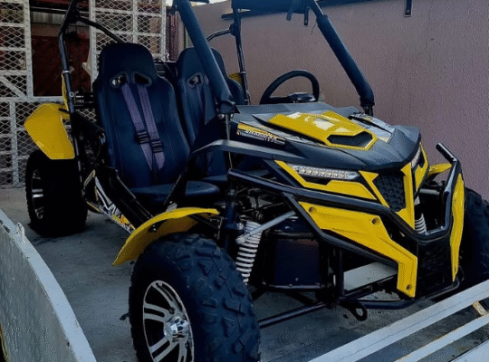 puggy 250 cc 2024 in excellent condition for sale