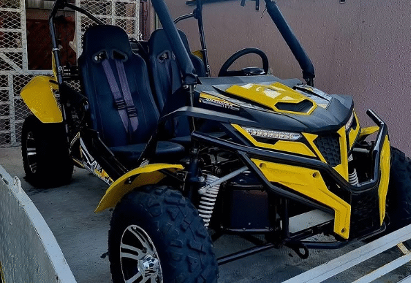 puggy 250 cc 2024 in excellent condition for sale