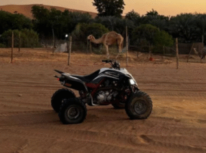 Yamaha Raptor 700cc 2015 for sale