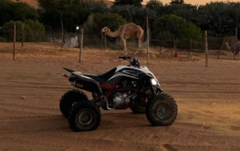 Yamaha Raptor 700cc 2015 for sale
