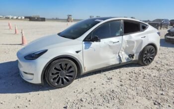 TESLA MODEL Y 2023 Auto auction