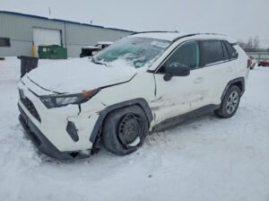 TOYOTA RAV4 LE 2020