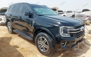 FORD EVEREST 2024 – Auto Action