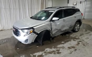 GMC TERRAIN SLE 2019 Auto auction