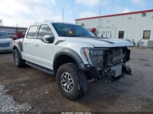 FORD F-150 RAPTOR 2023 Auto Auction