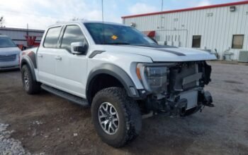 FORD F-150 RAPTOR 2023 Auto Auction