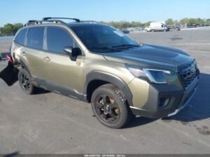 SUBARU FORESTER WILDERNESS 2024 Auto auction