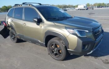 SUBARU FORESTER WILDERNESS 2024 Auto auction