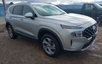 HYUNDAI SANTA FE SEL 2023 Auto Auction