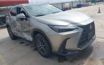 LEXUS NX 250 PREMIUM 2024 Auto Auction