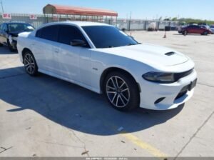 DODGE CHARGER R/T 2023 Auto auction