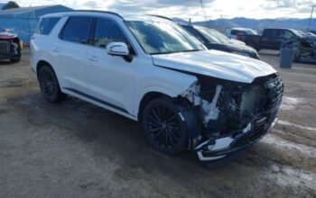 HYUNDAI PALISADE CALLIGRAPHY 2024 Auto Auction