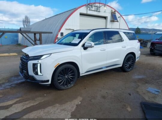 HYUNDAI PALISADE CALLIGRAPHY 2024 Auto Auction