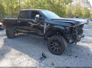 FORD F-250 PLATINUM 2024 Auto Auction