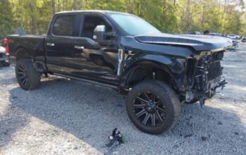 FORD F-250 PLATINUM 2024 Auto Auction