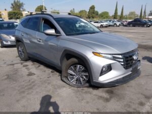 HYUNDAI TUCSON HYBRID BLUE 2024 Auto Auction