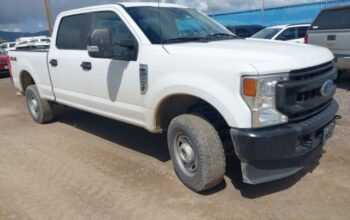 FORD F-250 XL 2022 Auto Auction – SOLD