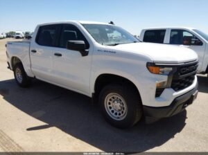 CHEVROLET SILVERADO 1500 2023 Auto Auction