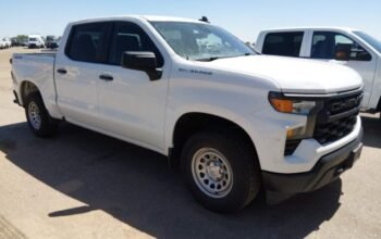 CHEVROLET SILVERADO 1500 2023 Auto Auction – SOLD