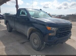 CHEVROLET SILVERADO 1500 4WD 2023 Auto Auction