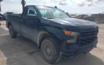 CHEVROLET SILVERADO 1500 4WD 2023 Auto Auction – SOLD