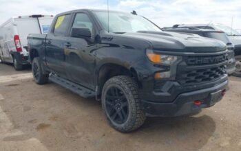 CHEVROLET SILVERADO 1500 4WD SHORT 2023 Auto Aucti – SOLD