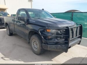 CHEVROLET SILVERADO 1500 4WD 2023 Auto Auction