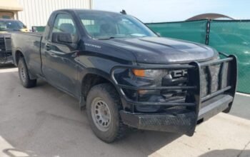 CHEVROLET SILVERADO 1500 4WD 2023 Auto Auction – SOLD