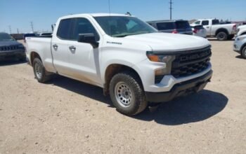 CHEVROLET SILVERADO 1500 4WD 2023 Auto Auction – SOLD