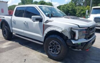 SOLD – FORD F-150 RAPTOR 2024 Auto Auction Auto Auction