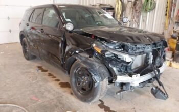 FORD POLICE INTERCEPTOR 2024 Auto Auction
