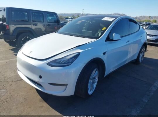 TESLA MODEL Y LONG 2022 Auto Auction