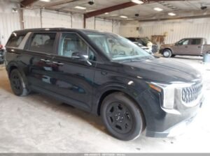 KIA CARNIVAL MPV LXS 2025 Auto Auction